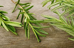 Rosemary Fused EVOO