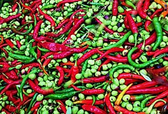 Baklouti Green Chili Oil 375ml