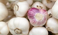 California Garlic infused Extra Virgin Olive Oil 375ml