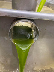 Manzanillo ROBUST EVOO (Spain)